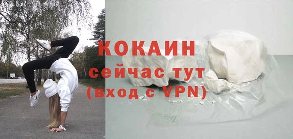 a pvp Горняк