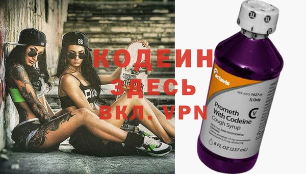 сатива Вяземский