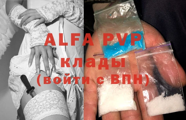 сатива Вяземский