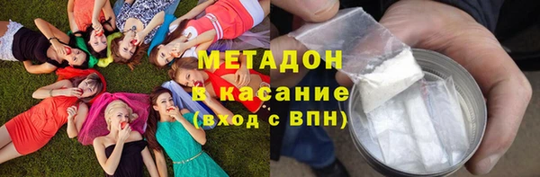 сатива Вяземский