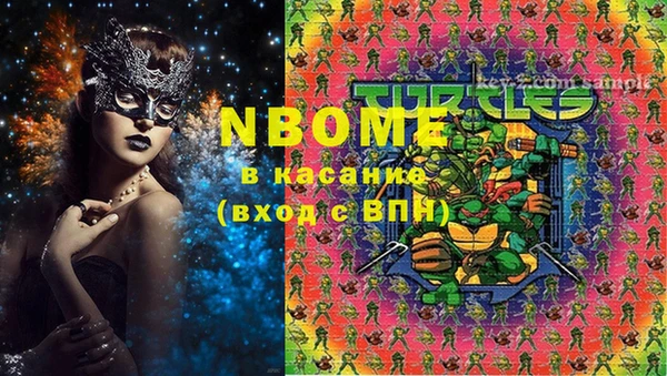 сатива Вяземский