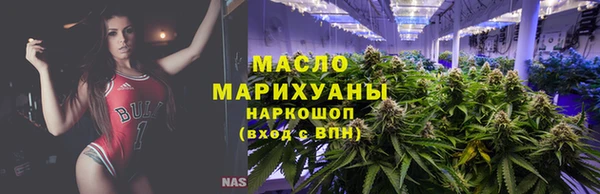 сатива Вяземский